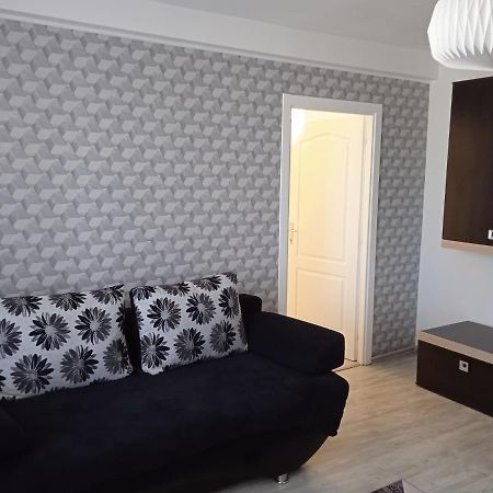 Ana Apartament Рымнику-Вылча Экстерьер фото