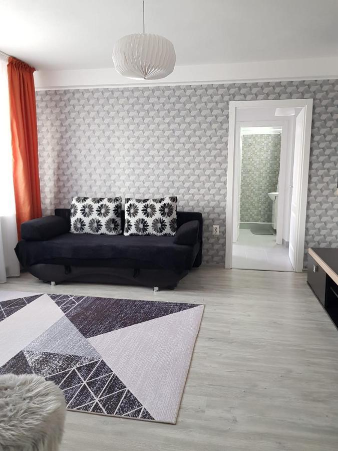 Ana Apartament Рымнику-Вылча Экстерьер фото