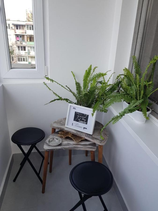 Ana Apartament Рымнику-Вылча Экстерьер фото