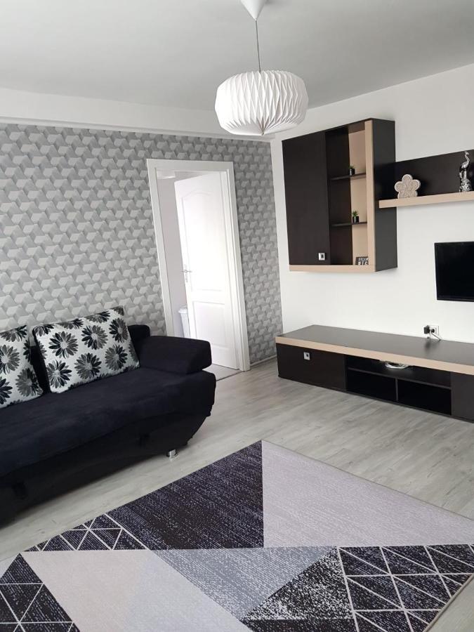 Ana Apartament Рымнику-Вылча Экстерьер фото