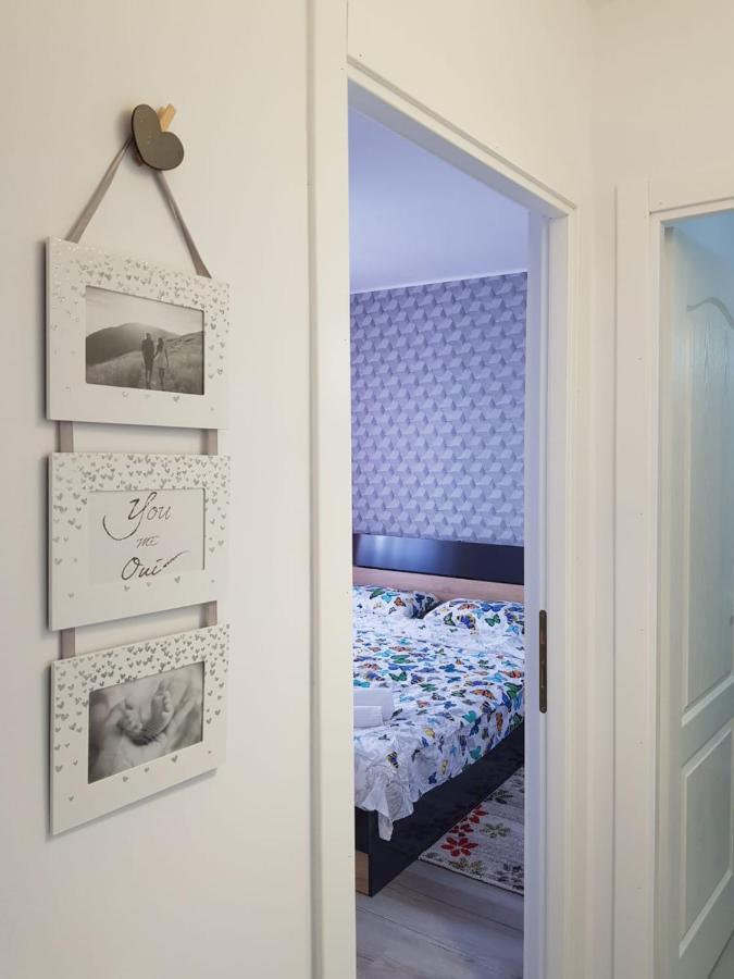 Ana Apartament Рымнику-Вылча Экстерьер фото