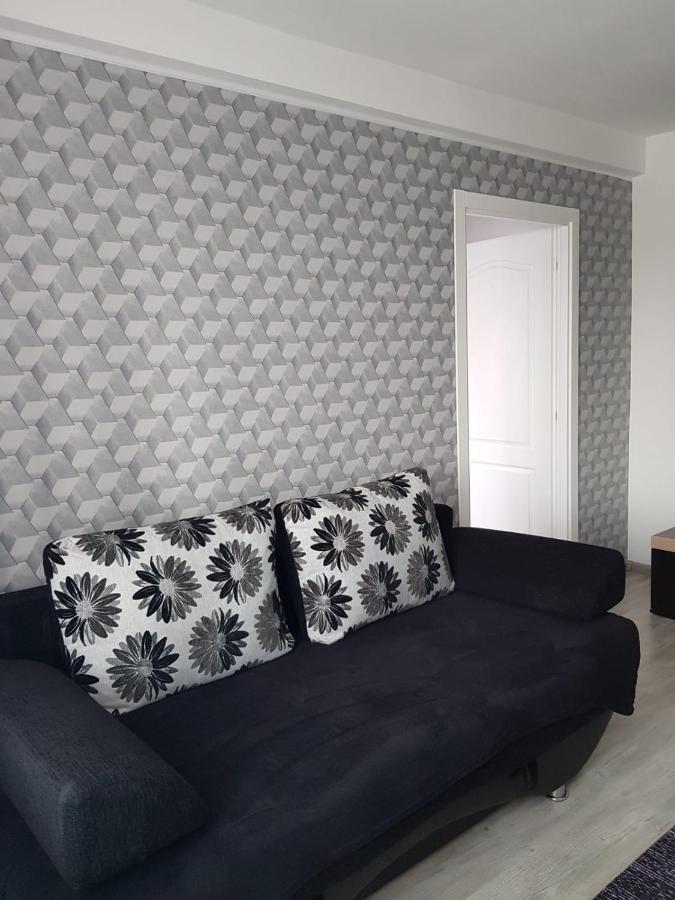 Ana Apartament Рымнику-Вылча Экстерьер фото