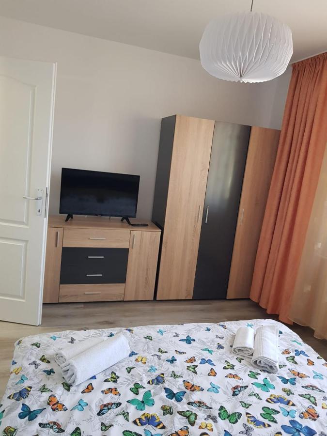 Ana Apartament Рымнику-Вылча Экстерьер фото