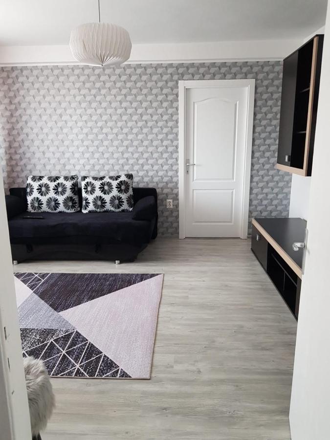 Ana Apartament Рымнику-Вылча Экстерьер фото
