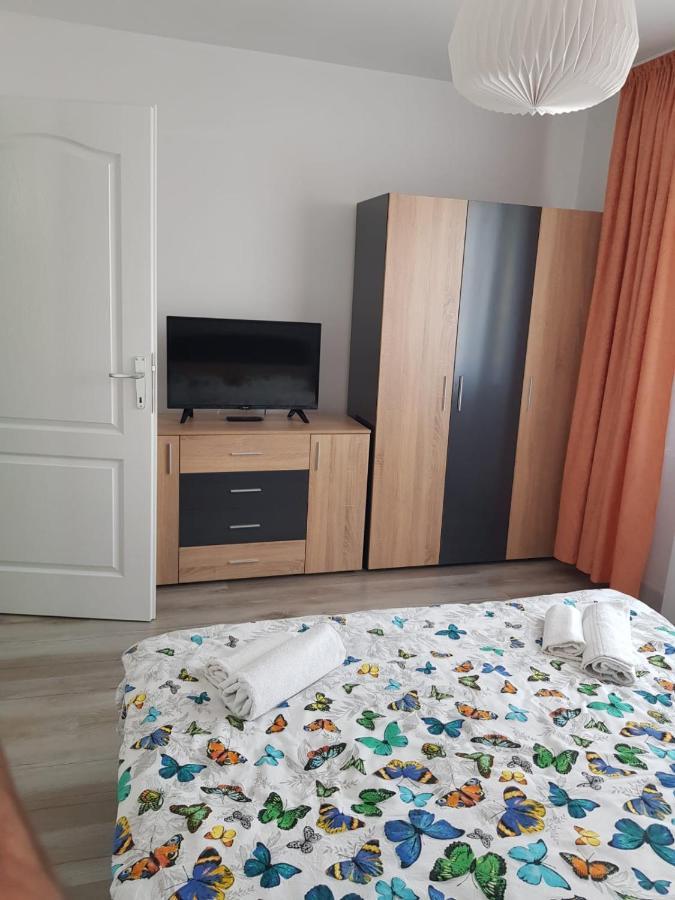 Ana Apartament Рымнику-Вылча Экстерьер фото