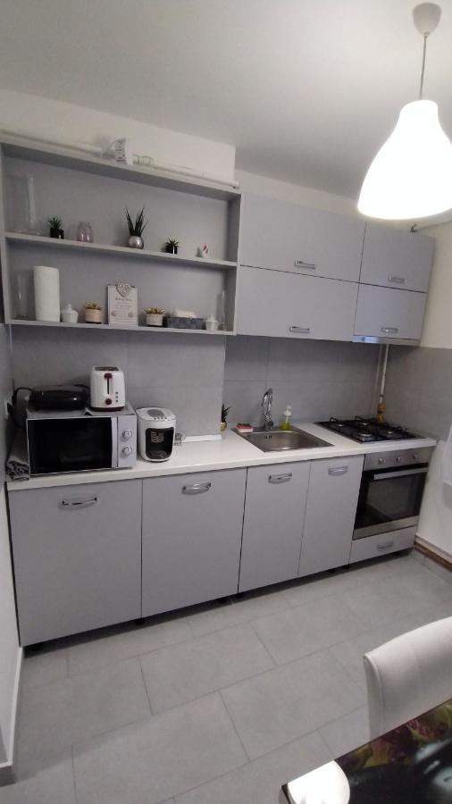 Ana Apartament Рымнику-Вылча Экстерьер фото
